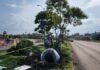 Morebús fortalece la compensación ambiental con la replantación de 50 árboles Morebús fortalece la compensación ambiental con la replantación de 50 árboles