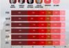 Raúl Morón al frente de las preferencias en Morena en vísperas de la encuesta definitoria