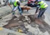 Gobierno de Uruapan realiza trabajos de limpieza en la calle Michoacán