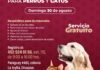 Habrá jornada de esterilización gratuita para perros y gatos en Uruapan