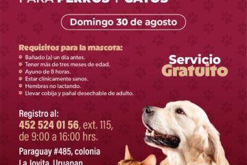 Habrá jornada de esterilización gratuita para perros y gatos en Uruapan