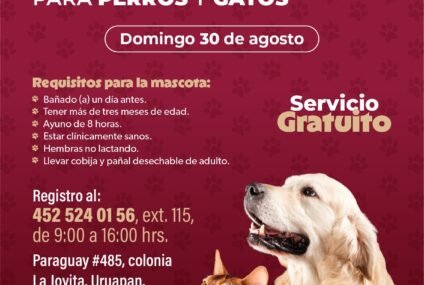 Habrá jornada de esterilización gratuita para perros y gatos en Uruapan Habrá jornada de esterilización gratuita para perros y gatos en Uruapan