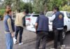 Zoológico de Morelia identifica como crías de ratón a ejemplares rescatados en obras del Morebús