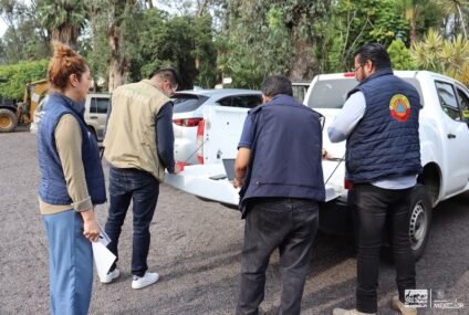 Zoológico de Morelia identifica como crías de ratón a ejemplares rescatados en obras del Morebús