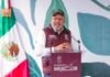 Inicia Bedolla reforestación de 32 mil árboles por obra del Morebús; plantan los primeros 5 mil en Villas del Pedregal