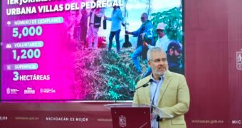 Arbolado de Tres Puentes se conserva; solo 27 ejemplares serán trasplantados: Bedolla