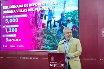 Arbolado de Tres Puentes se conserva; solo 27 ejemplares serán trasplantados: Bedolla