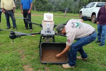 Michoacán participa en proyecto nacional de restauración forestal con germoesferas
