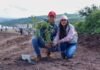 Reforesta SCOP el segundo anillo periférico de Morelia con más de 36 mil árboles endémicos Reforesta SCOP el segundo anillo periférico de Morelia con más de 36 mil árboles endémicos