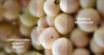 Premio Michoacán al Producto de Origen busca reconocer la excelencia y el orgullo local