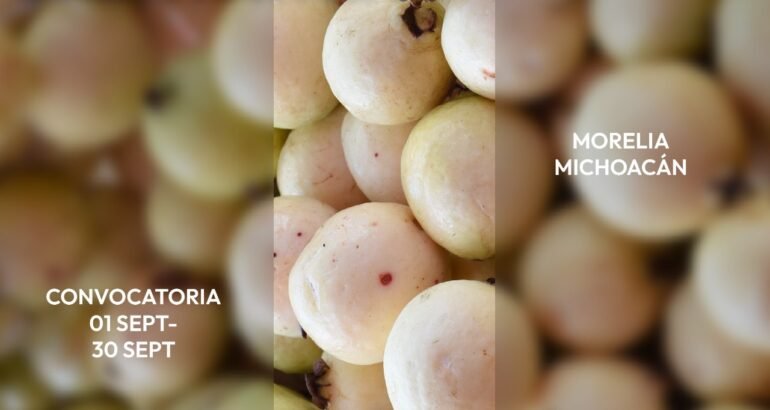 Premio Michoacán al Producto de Origen busca reconocer la excelencia y el orgullo local
