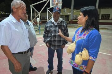 Consulta a pueblos indígenas y personas con discapacidad, paso pendiente para reformar la Ley de Educación