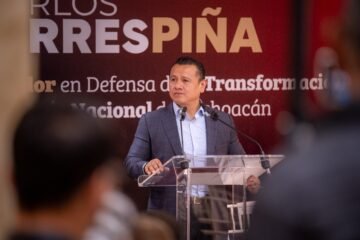 El INE debe garantizar la transparencia y rendir cuentas al pueblo de México: Torres Piña