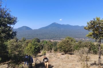 Michoacán triplica superficie de conservación forestal; más de 212 mil hectáreas protegidas Michoacán triplica superficie de conservación forestal; más de 212 mil hectáreas protegidas