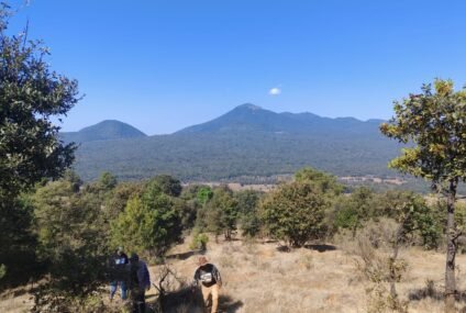 Michoacán triplica superficie de conservación forestal; más de 212 mil hectáreas protegidas