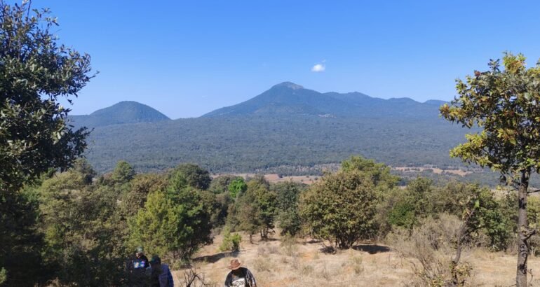 Michoacán triplica superficie de conservación forestal; más de 212 mil hectáreas protegidas