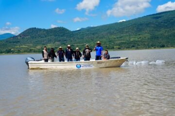 Suman 215 mil ejemplares de pez blanco liberados en el lago de Pátzcuaro