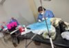 Esterilizan a 34 mascotas durante jornada gratuita en la Jurisdicción Sanitaria 05 de Uruapan